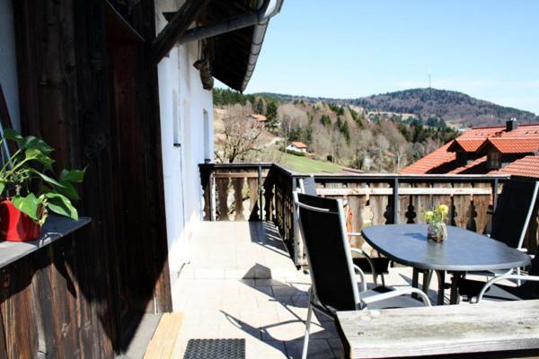 Ferienwohnung Auf Dem Erlebnisreiterhof Kreipl Grattersdorf Экстерьер фото